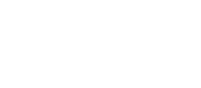 Vola Logo
